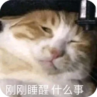 Sticker from Dog