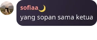 💓 emoji sofia cantik Telegram sticker 13 of 62