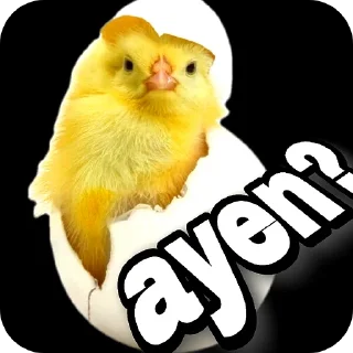 🐦 emoji Pippo🐣🐣 Telegram sticker 14 of 14