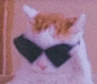 🥱 emoji Cursed cats Telegram sticker 9 of 20