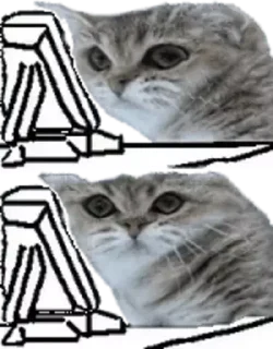 💀 emoji Cursed cats Telegram sticker 20 of 20