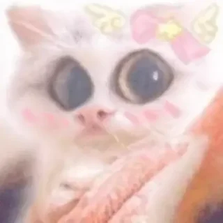 ❤️ emoji Cursed cats Telegram sticker 17 of 20