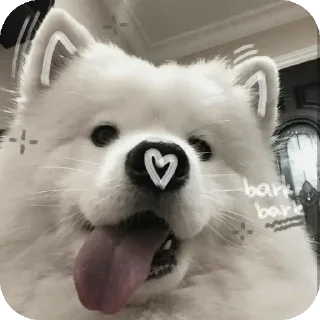 🐶 emoji Kaaju kudou  (kitty + dog pack) Telegram sticker 13 of 120