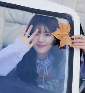 🖐 emoji @zhaolusi_fanclub Telegram sticker 1 of 50