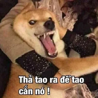 😡 emoji Dog Telegram sticker 11 of 27