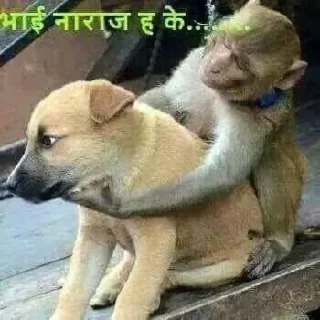 🤔 emoji कृष्ण Telegram sticker 19 of 38