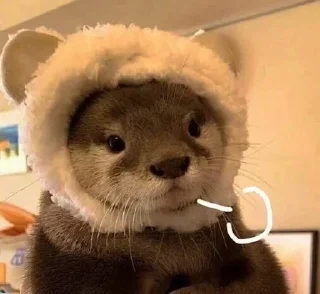 💜 emoji 你是我的臭宝 Telegram sticker 18 of 120