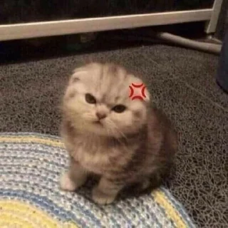 ‼️ emoji kucing gemoy || @tikelnyakakak Telegram sticker 8 of 39