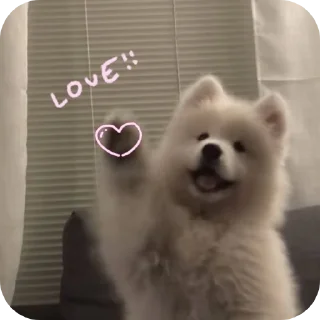 🐶 emoji . Telegram sticker 6 of 120