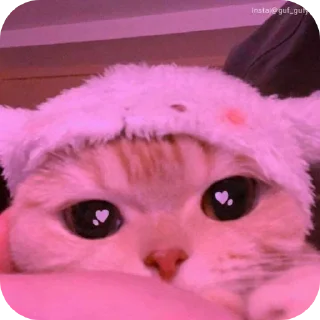🐱 emoji . Telegram sticker 7 of 120