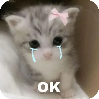 🐱 emoji . Telegram sticker 9 of 120
