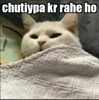 😂 emoji Thakur Rahul Singh's kang pack 1 Telegram sticker 16 of 115