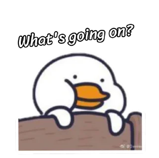 🦆 emoji Ducky 🦆 Telegram sticker 23 of 55