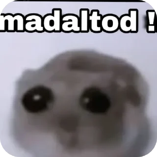 Sticker from Ash
