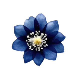 🌸 emoji @phraasing Telegram sticker 22 of 69
