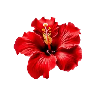 🌸 emoji @phraasing Telegram sticker 10 of 69
