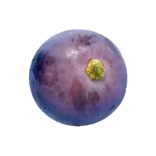 🌕 emoji @phraasing Telegram sticker 24 of 69
