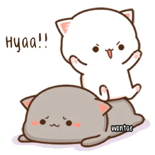 🍥 emoji Mochi Mochi Peach Cat by @wontae Telegram sticker 12 of 73