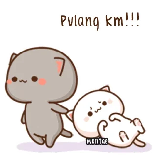 🍥 emoji Mochi Mochi Peach Cat by @wontae Telegram sticker 24 of 73