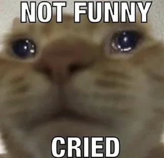😿 emoji Pets mood Telegram sticker 19 of 60