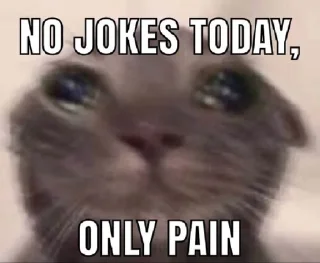 😿 emoji Pets mood Telegram sticker 20 of 60