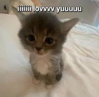 🫶 emoji Pets mood Telegram sticker 6 of 60