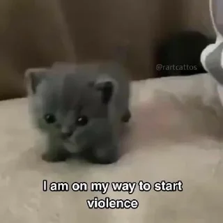 Sticker from Pets mood