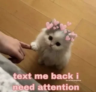 Sticker from Pets mood