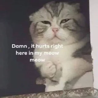 😿 emoji Pets mood Telegram sticker 22 of 60