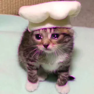 🥺 emoji Yash 🗿's video pack (@Marin_Roxbot) Telegram sticker 3 of 44
