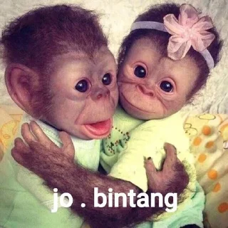 🌟 emoji pampir kuda ckep pack by @QuotLyBot Telegram sticker 17 of 95