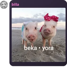 👵 emoji pampir kuda ckep pack by @QuotLyBot Telegram sticker 9 of 95