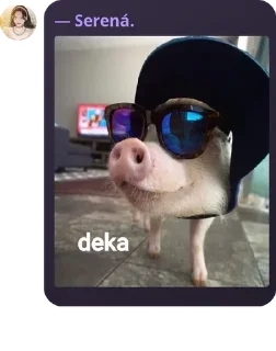 👩‍🎓 emoji pampir kuda ckep pack by @QuotLyBot Telegram sticker 13 of 95