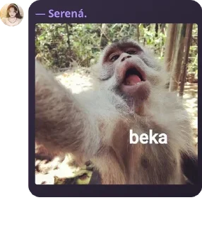 🐻 emoji pampir kuda ckep pack by @QuotLyBot Telegram sticker 5 of 95