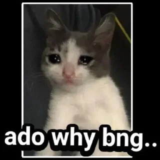 🥺 emoji Favorites Telegram sticker 8 of 53