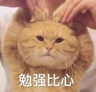❤️ emoji 茉 莉的贴纸包（0） Telegram sticker 5 of 56