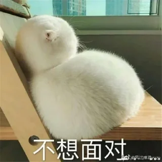 😺 emoji 茉 莉的贴纸包（0） Telegram sticker 9 of 56