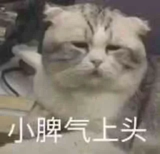 😺 emoji 茉 莉的贴纸包（0） Telegram sticker 12 of 56