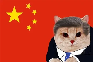 🐱 emoji 你滴习宝 Telegram sticker 7 of 23