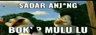 Sticker from Meme K