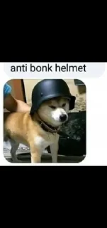 Sticker from Meme K