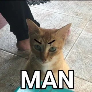 😒 emoji Mamad pack Telegram sticker 24 of 65
