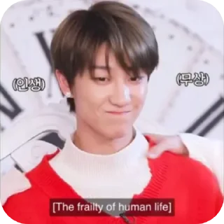 Sticker from MANIAC SVT 2.0 (JIMINGYU)