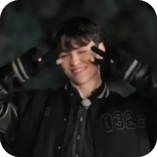 Sticker from MANIAC SVT 2.0 (JIMINGYU)