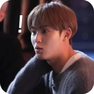Sticker from MANIAC SVT 2.0 (JIMINGYU)