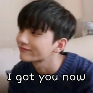 Sticker from SEVENTEEN