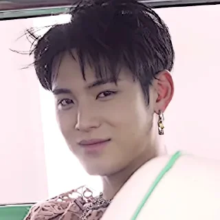 Sticker from Mingyu W Korea Photo Shoot BEHIND @stikersvt