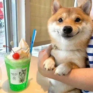 😎 emoji ❗𝗧𝗵𝗲𝗡𝗼𝗼𝗯𝗚𝘂𝘆❗'s Sticker Pack Telegram sticker 6 of 84