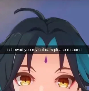 Sticker from genshin impact meme — @kouichiie