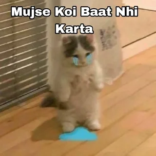 🥹 emoji Chori karna paap hai!! Telegram sticker 15 of 24